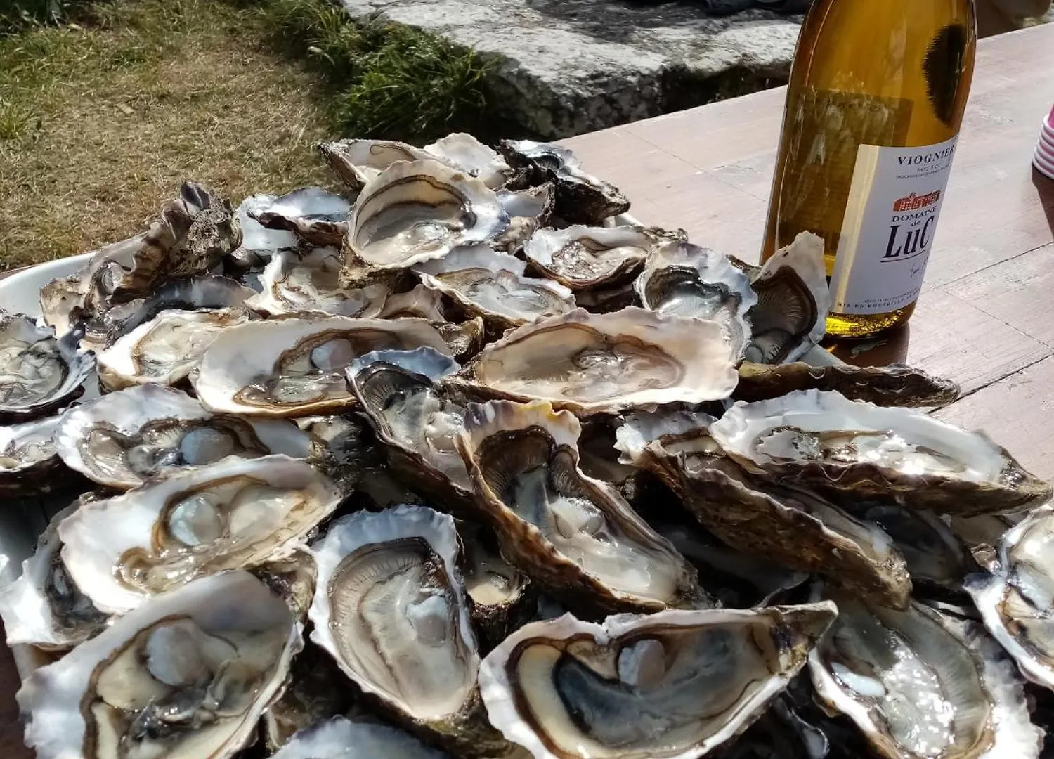 Les Gites Marins Des Abers - Ker Marian Plouguerneau France